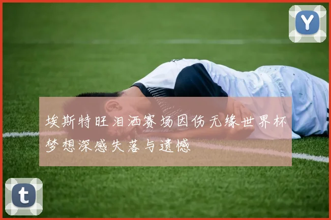 埃斯特旺泪洒赛场因伤无缘世界杯梦想深感失落与遗憾