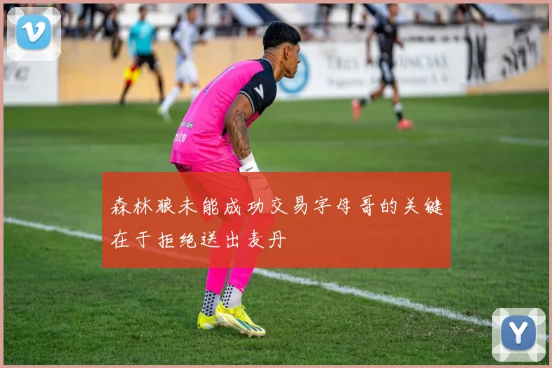 森林狼未能成功交易字母哥的关键在于拒绝送出麦丹
