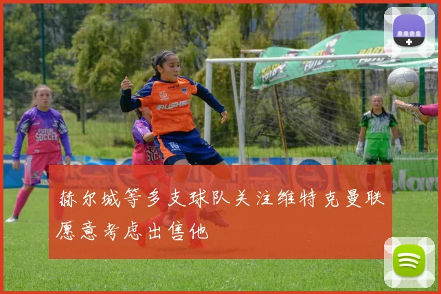 赫尔城等多支球队关注维特克曼联愿意考虑出售他